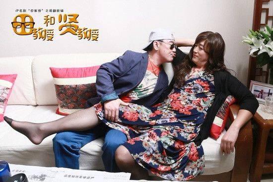 田教授和贤教授分集剧情介绍(1-32集)大结局_电视剧