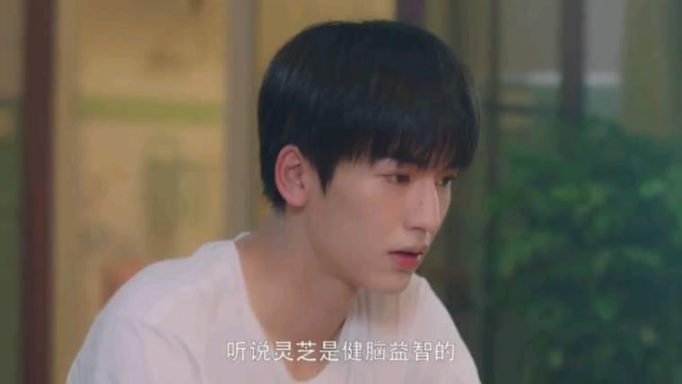 我和我的时光少年分集剧情介绍(1-24集)大结局_电视剧