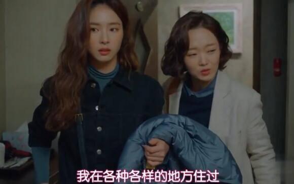 奔向爱情分集剧情介绍(1-16集)大结局_电视剧