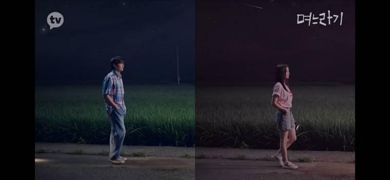 媳妇过渡期分集剧情介绍(1-12集)大结局_电视剧