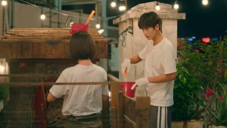 我和我的时光少年分集剧情介绍(1-24集)大结局_电视剧