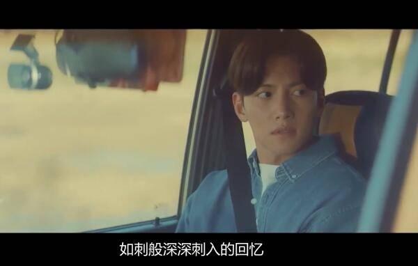 都市男女的爱情法则分集剧情介绍(1-17集)大结局_电视剧