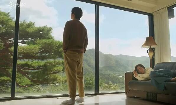 火鸟2020分集剧情介绍(1-120集)大结局_电视剧