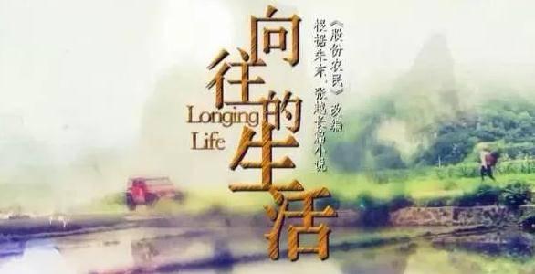 向往的生活分集剧情介绍(1-35集)大结局_电视剧