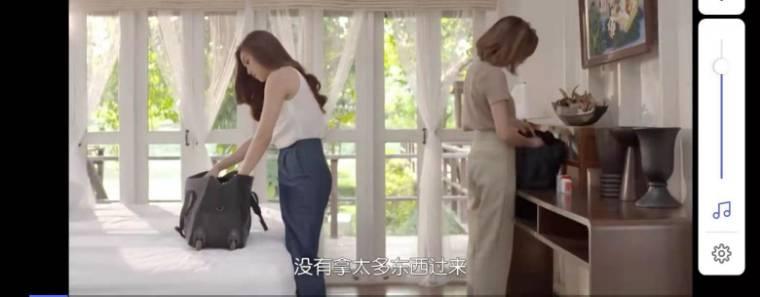 职业人妻分集剧情介绍(1-19集)大结局_电视剧