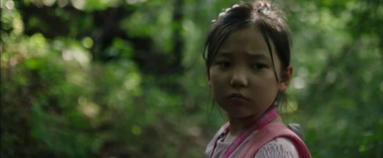 搜索分集剧情介绍(1-10集)大结局_电视剧