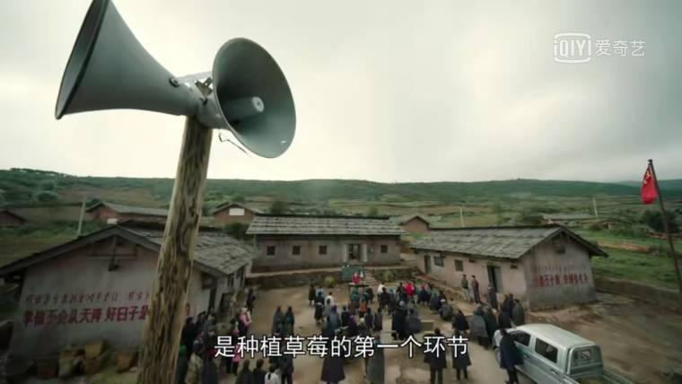 金色索玛花分集剧情介绍(1-24集)大结局_电视剧