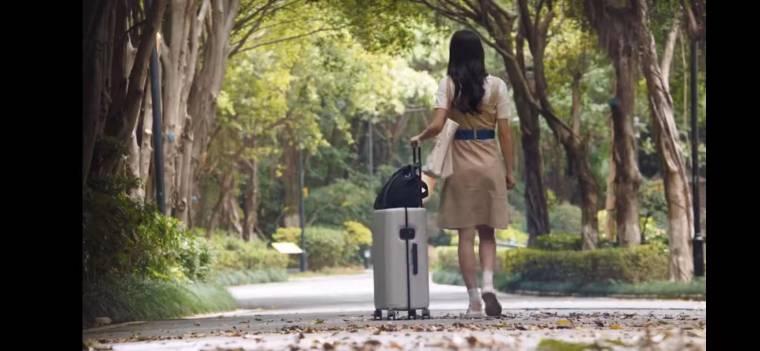 百岁之好,一言为定分集剧情介绍(1-28集)大结局_电视剧