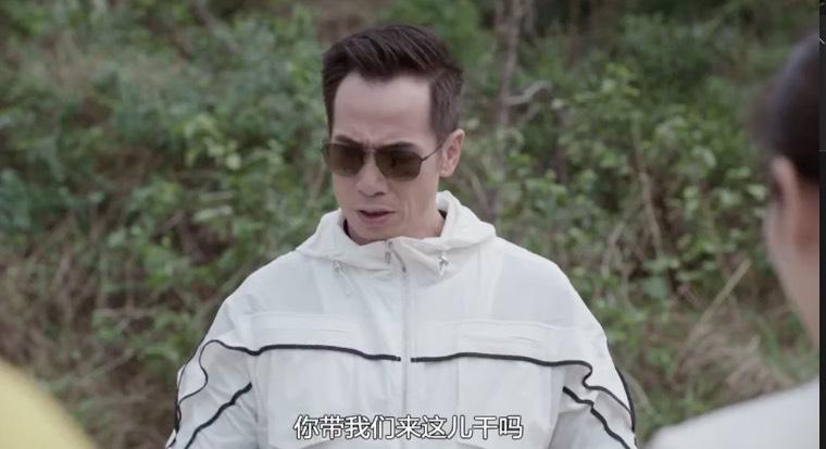 陀枪师姐2021分集剧情介绍(1-40集)大结局_电视剧