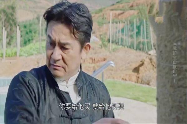 我的金山银山分集剧情介绍(1-38集)大结局_电视剧