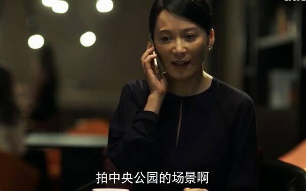 刑警之海外行动分集剧情介绍(1-38集)大结局_电视剧