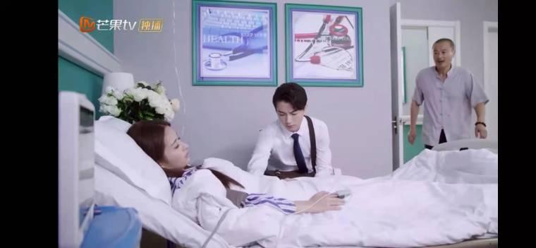 舒克与桃花分集剧情介绍(1-40集)大结局_电视剧