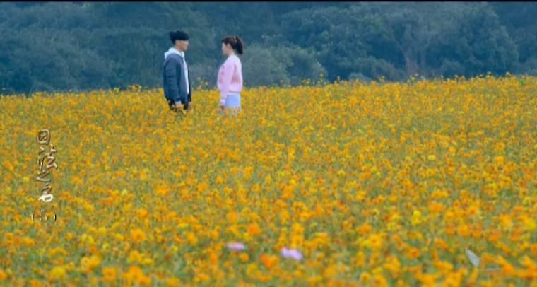 因法之名分集剧情介绍(1-45集)大结局_电视剧