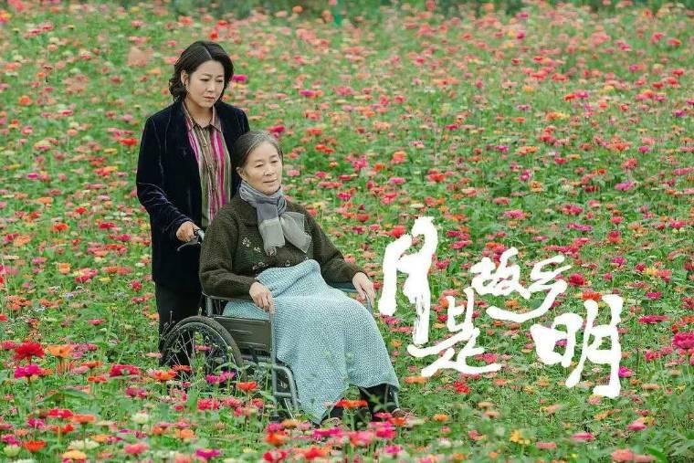 月是故乡明分集剧情介绍(1-34集)大结局_电视剧