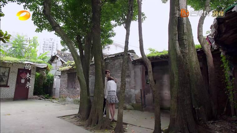 当天真遇见爱情分集剧情介绍(1-40集)大结局_电视剧