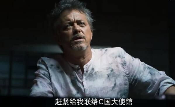 刑警之海外行动分集剧情介绍(1-38集)大结局_电视剧