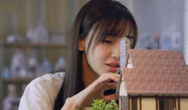 我的真朋友分集剧情介绍(1-48集)大结局_电视剧