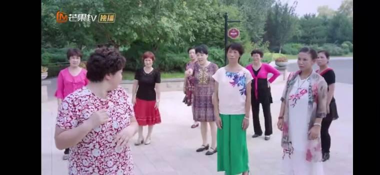 舒克与桃花分集剧情介绍(1-40集)大结局_电视剧