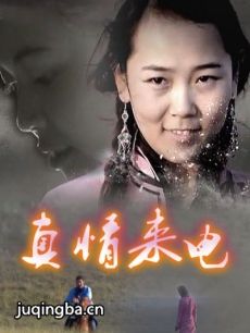 ��¼Ƭ��������������