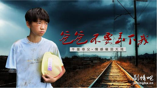 ��Ӱ�ְֲ�Ҫ�����Ҿ������