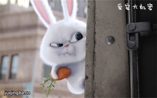 ��Ӱ�������ܾ������