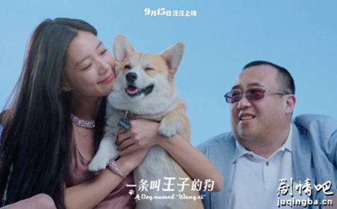 ��Ӱһ�������ӵĹ��������