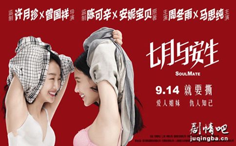 ��Ӱ�����밲���������