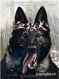 ��ӰѪ��Ȯ�������