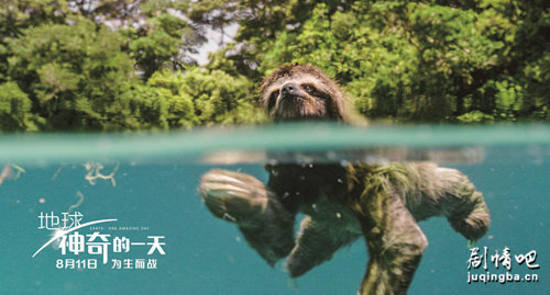 ��Ӱ�����������һ�졷�������