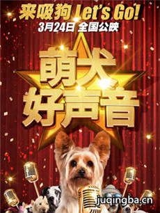 ��Ӱ��Ȯ�������������