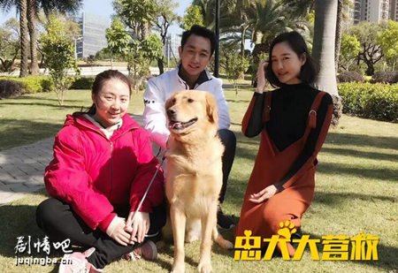 ��Ӱ��Ȯ��Ӫ�Ⱦ������