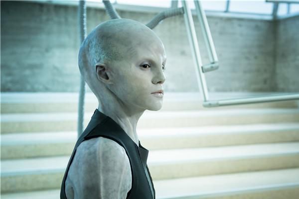 ����̩̹�������