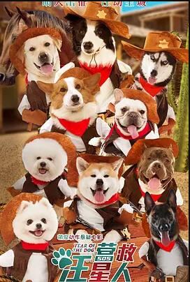 ��ӰӪ�������˾������