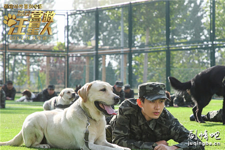 ��ӰӪ�������˾������