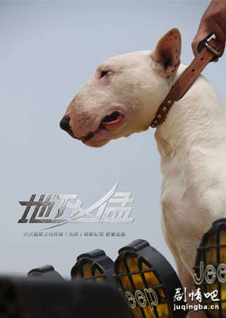 ��Ӱ�������;������