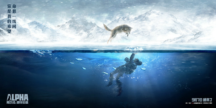 ���������ǰ��;�������