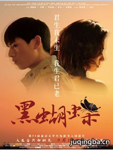 �ں����������