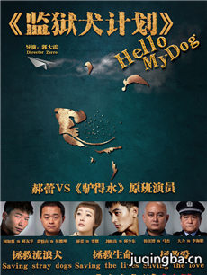 ��Ӱ����Ȯ�ƻ��������