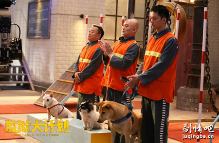 ��Ӱ����Ȯ�ƻ��������