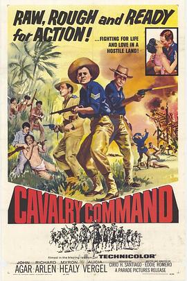 Cavalry Command�������