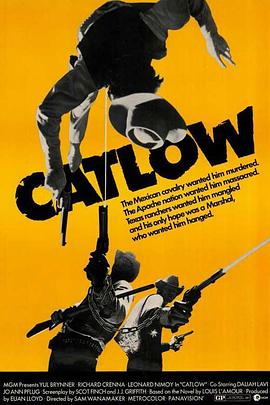 �����Ƕ��� Catlow�������