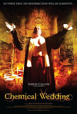 ��ѧ���� Chemical Wedding�������