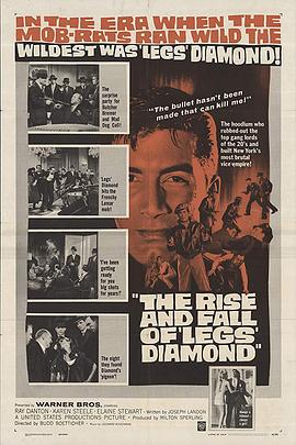��ʯ��֮���� The Rise and Fall of Legs Diamond�������