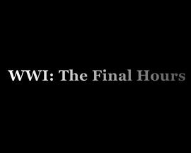 һս:����ʱ�� WWI: The Final Hours�������