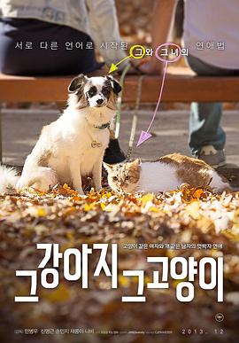 �ǹ���è    �������