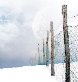 ������Բ��������ʯ����ʾ������