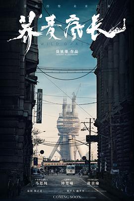 ����賤�������