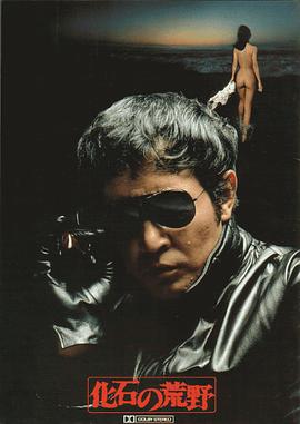 ��ʯ�Ļ�Ұ ��ʯ�λ�Ұ�������