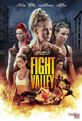 ������ Fight Valley�������