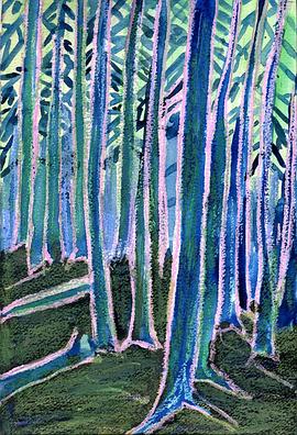 ��׾������